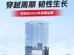 一圖讀懂欣旺達2025年經營業績